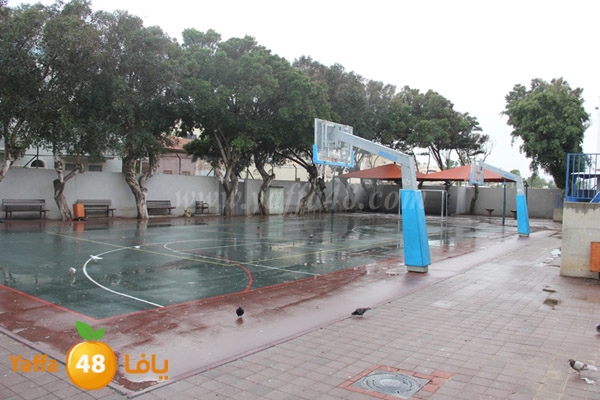 Idrab yaffa abo3azi (24).jpg